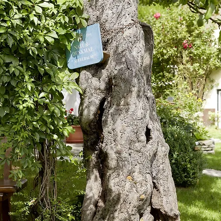 Romantikhotel Zell Am Ξενοδοχείο Τσελ αμ Ζέε