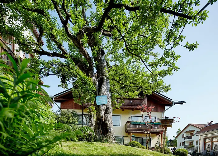 Hotel Romantikhotel Zell Am 4*