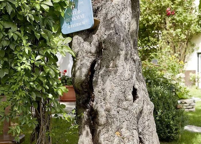 Romantikhotel Zell Am Hotel Zell am See