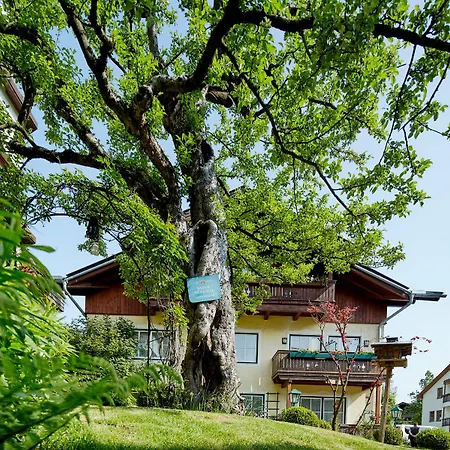 Готель Romantikhotel Zell Am 4*